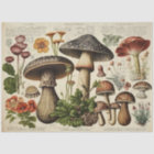 Vintage Mushroom Cottagecore Decoupage