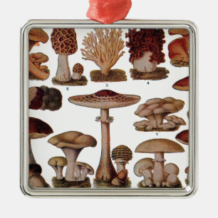 Vintage Mushroom Family Botanical Print Metal Tree Decoration