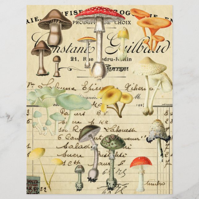 Vintage Mushroom Fungi Collage Sheet  (Front)