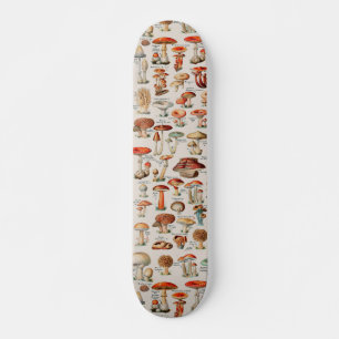 Vintage Mushroom Fungus Illustration I Skateboard