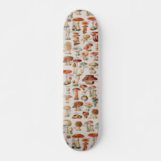 Vintage Mushroom Fungus Illustration I Skateboard