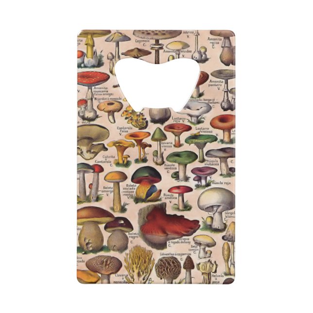 Vintage Mushroom Guide Bottle Opener (Back)