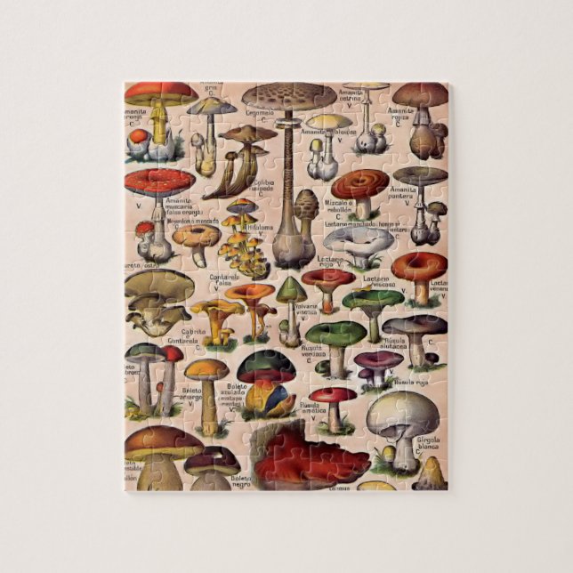 Vintage Mushroom Guide Jigsaw Puzzle (Vertical)
