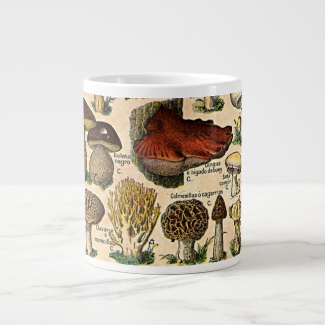 Vintage Mushroom Guide Speciality Mugs (Front)