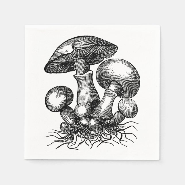 Vintage Mushroom Illustration Napkin (Front)
