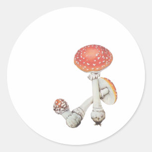 Vintage Mushroom Kitchen - Science Botanicals - Classic Round Sticker
