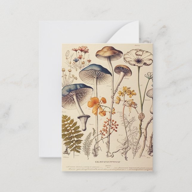 Vintage Mushroom Naturalist Card (Front)