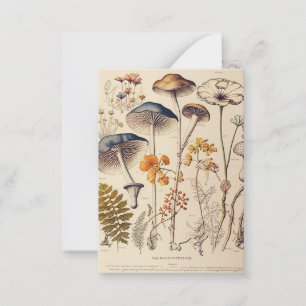 Vintage Mushroom Naturalist Card