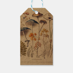 Vintage Mushroom Naturalist Gift Tags