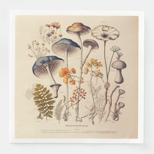 Vintage Mushroom Naturalist Napkin (Front)