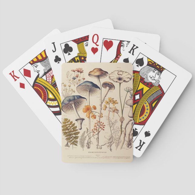 Vintage Mushroom Naturalist Playing Cards (Back)
