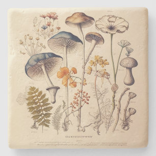Vintage Mushroom Naturalist Stone Coaster