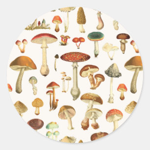 Vintage Mushroom Pattern Classic Round Sticker