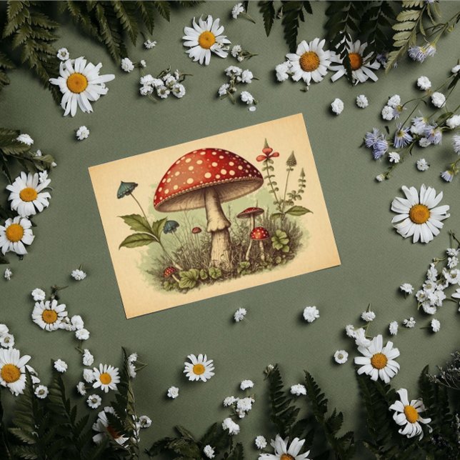 Vintage Mushroom Red Toadstool Decoupage Cottage Tissue Paper (Creator Uploaded)