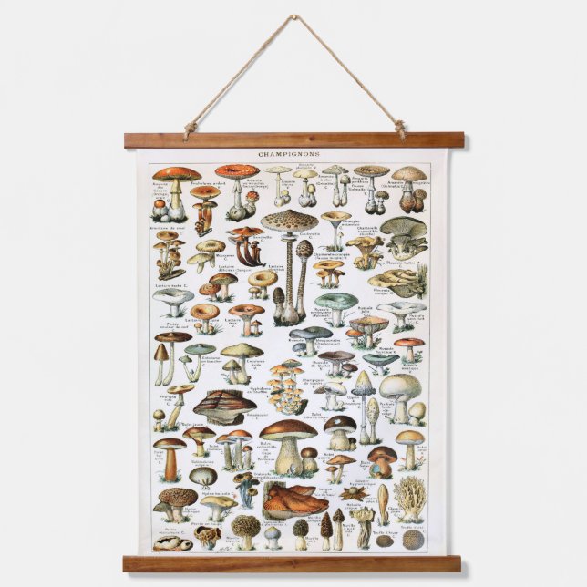 Vintage Mushroom Specimen Hanging Panel  Tapestry (Front)