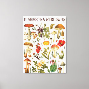 Vintage Mushrooms and Wildflowers Chart Canvas Print