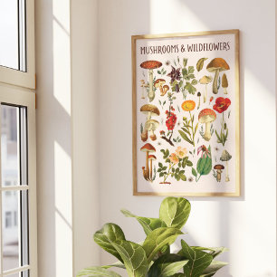 Vintage Mushrooms and Wildflowers Chart Wall Art