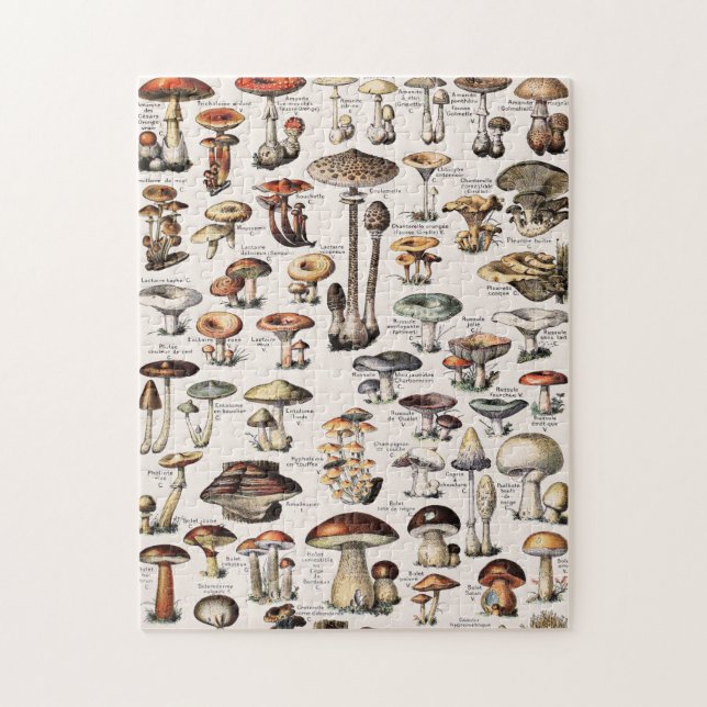 Vintage Mushrooms By Adolphe Millot Jigsaw Puzzle (Vertical)