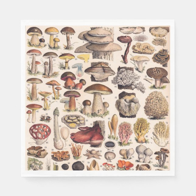 Vintage Mushrooms By Adolphe Millot Napkin (Front)