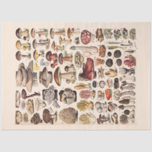 Vintage Mushrooms By Adolphe Millot Tissue Paper