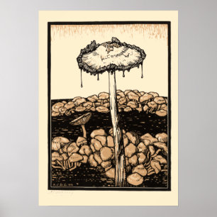 Vintage Mushrooms by Julie de Graag Poster