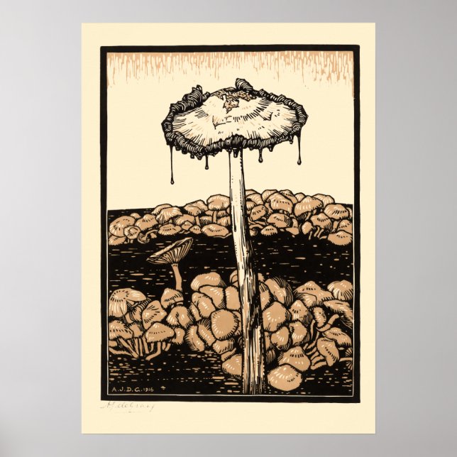 Vintage Mushrooms by Julie de Graag Poster (Front)
