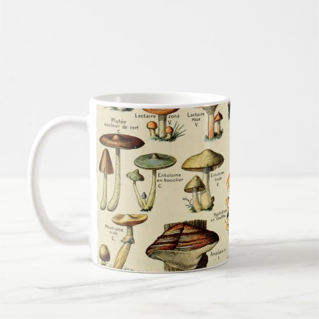 Vintage Mushrooms & Fungi #2 Coffee Mug (Left)