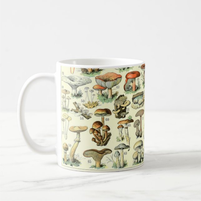 Vintage Mushrooms & Fungi #7 Coffee Mug (Left)