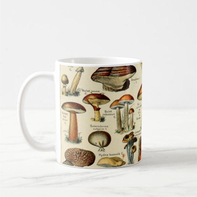 Vintage Mushrooms & Fungi Coffee Mug (Left)