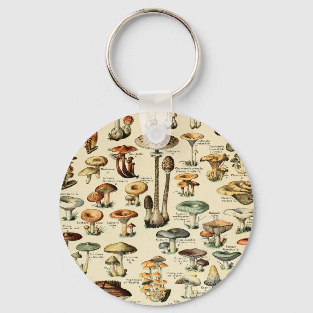 Vintage Mushrooms & Fungi Key Ring (Front)