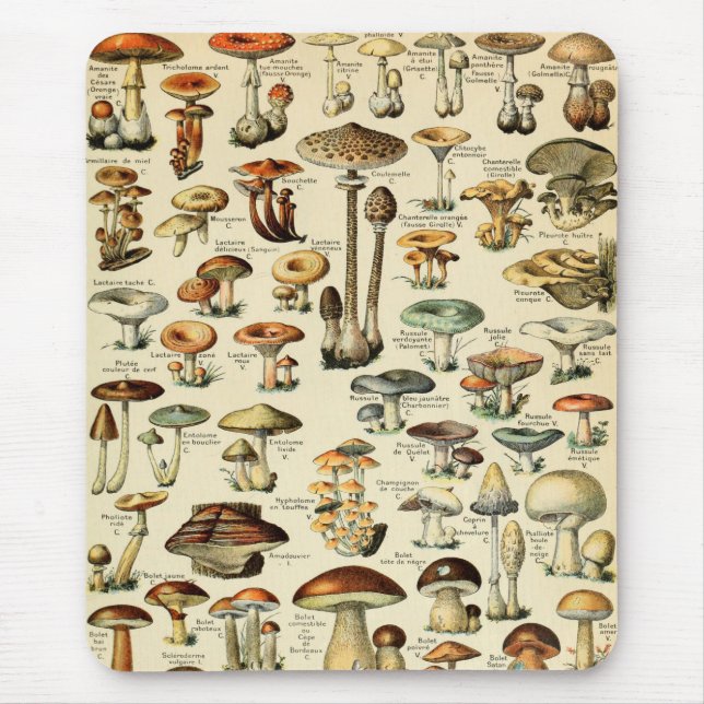 Vintage Mushrooms & Fungi Mouse Mat (Front)