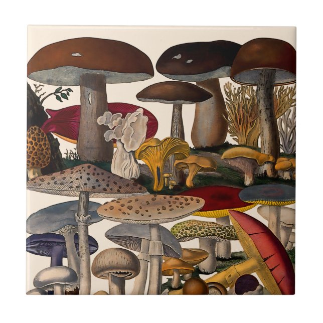 Vintage mushrooms illustration tile (Front)