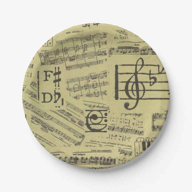 Vintage Music Note Pattern Musician  Paper Plate (Front)