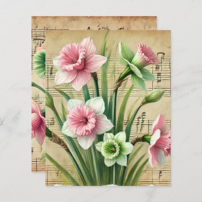 Vintage Music Pink & Green Daffodils Scrapbook (Front/Back)