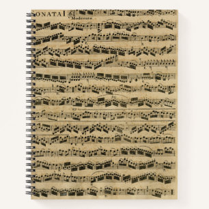 Vintage Musical Notes Notebook