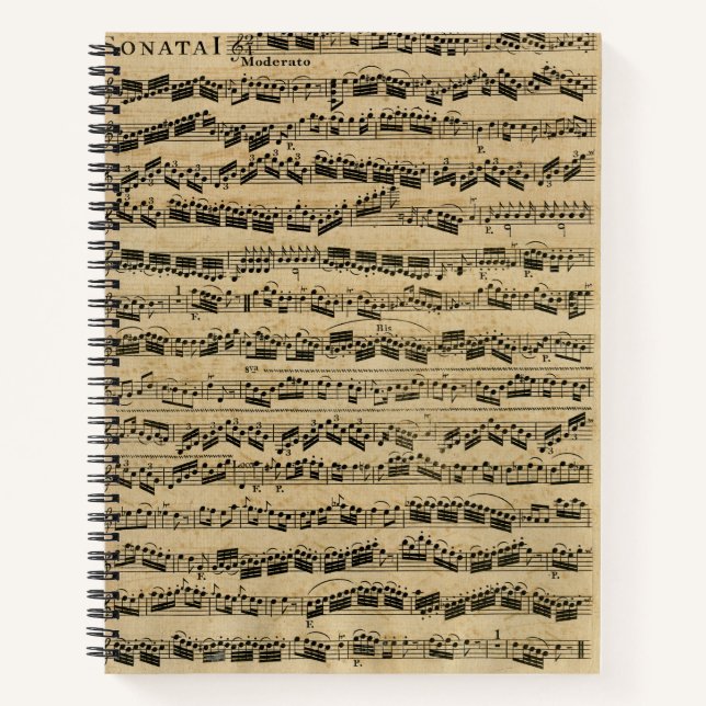 Vintage Musical Notes Notebook (Front)