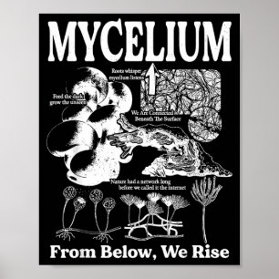 Vintage Mycelium Fungal Network Mushroom Biology Poster