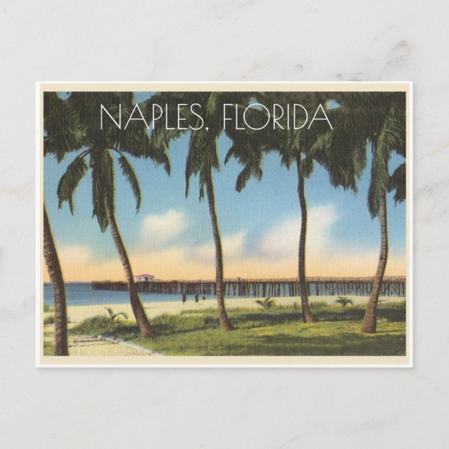 Vintage Naples, Florida view of gulf Postcard (Front)
