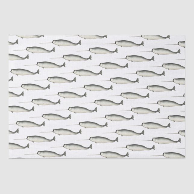 Vintage Narwhal Narwhale Drawing #3 Tissue Paper (Front)
