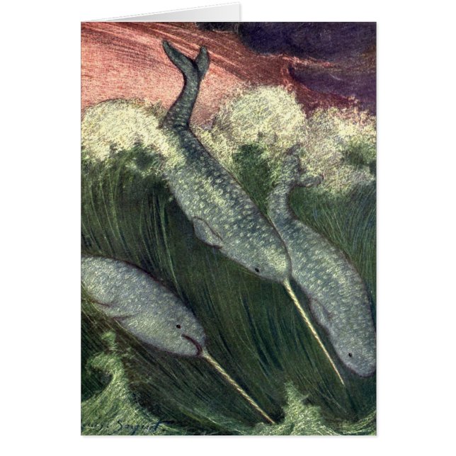 Vintage Narwhals, Marine Life Whales Ocean Animals (Front)