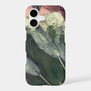 Vintage Narwhals, Marine Life Whales Ocean Animals