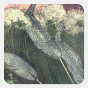 Vintage Narwhals, Marine Life Whales Ocean Animals Square Sticker