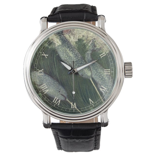 Vintage Narwhals, Marine Life Whales Ocean Animals Watch (Front)