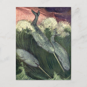 Vintage Narwhals Whales, Marine Life Ocean Animals Postcard