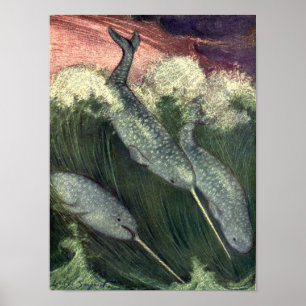 Vintage Narwhals Whales, Marine Life Ocean Animals Poster