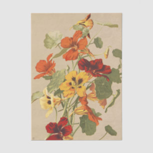 Vintage Nasturtium Floral Botanical Garden Art Tissue Paper