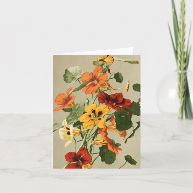 Vintage Nasturtiums Note Card (Front)