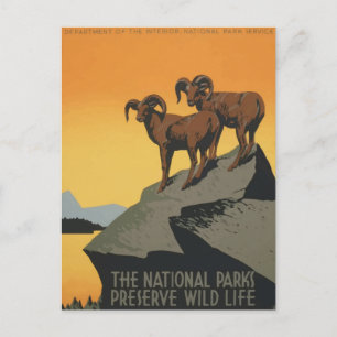 Vintage National Park Retro Travel Poster Postcard