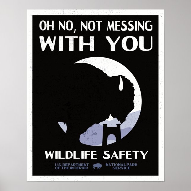 Vintage National Park Wildlife Safety Bison Poster (Front)