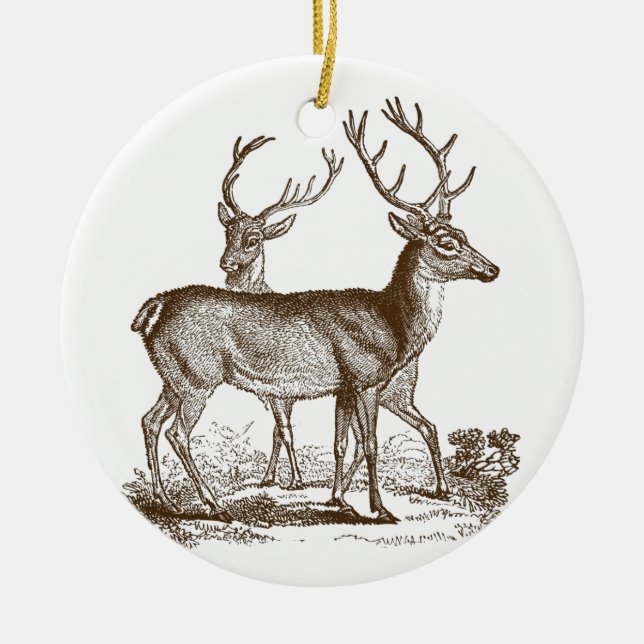 Vintage Natural History Deer Christmas Ornament (Front)